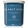 DW Home Essence Sea Salt Citrus ароматна свещ 108 гр.