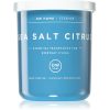 DW Home Essence Sea Salt Citrus ароматна свещ 113 гр.