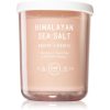 DW Home Text Himalayan Sea Salt ароматна свещ 425 гр.