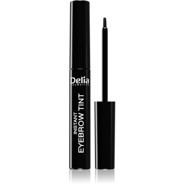 Delia Cosmetics Eyebrow Expert цвят за вежди цвят 1.0 BLACK 6 мл.