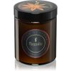 Flagolie Four Seasons Anise & Mint ароматна свещ 120 гр.