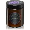 Flagolie Four Seasons Elderberry ароматна свещ 120 гр.