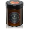 Flagolie Four Seasons Orange & Cinnamon ароматна свещ 120 гр.