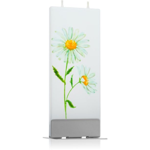 Flatyz Nature Daisies свещ 6x15 см