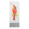 Flatyz Nature Red Bird свещ 6x15 см