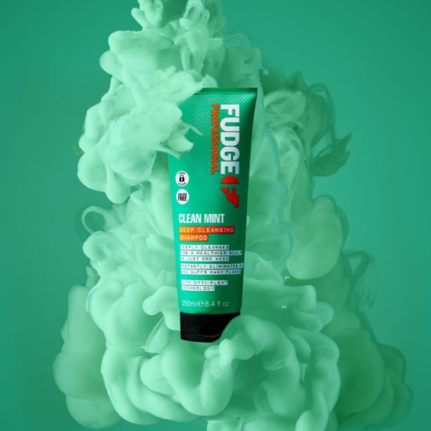 Fudge Clean Mint Shampoo шампоан за мазна коса 250 мл. купи на топ цена