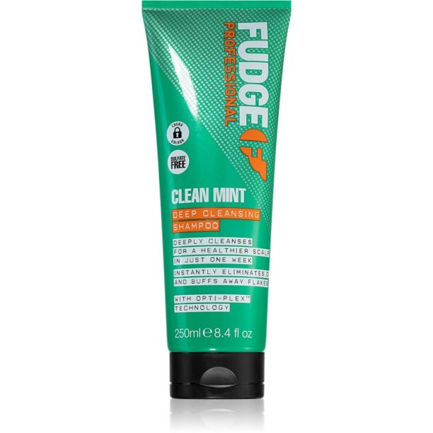 Fudge Clean Mint Shampoo шампоан за мазна коса 250 мл. на ниска цена