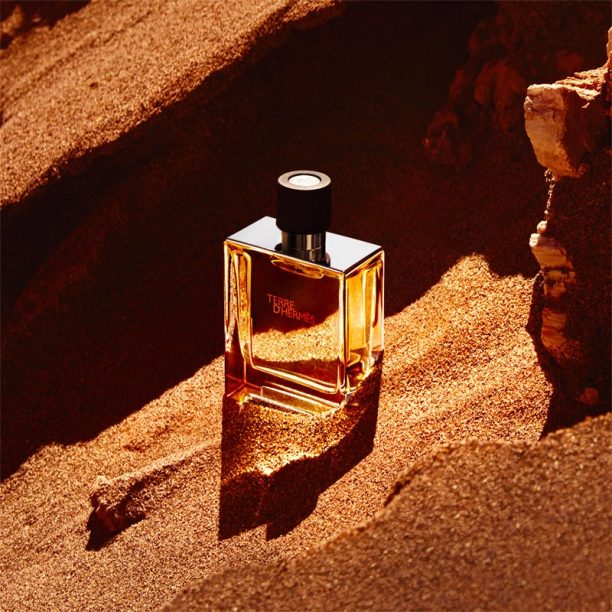 HERMÈS Terre d’Hermès парфюм за мъже 75 мл. купи на топ цена