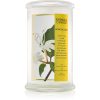 Kringle Candle Honeysuckle ароматна свещ 624 гр.