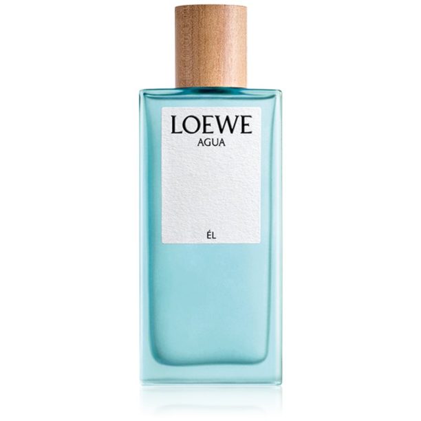 Loewe Agua Él тоалетна вода за мъже 100 мл. на ниска цена