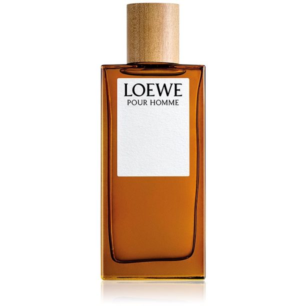 Loewe Loewe Pour Homme тоалетна вода за мъже 100 мл. на ниска цена