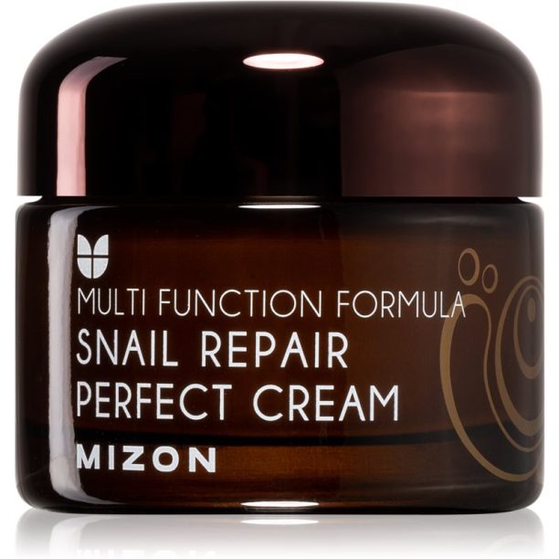 Mizon Multi Function Formula  Snail крем за лице  с филтрат на охлювен секрет 60% 50 мл.