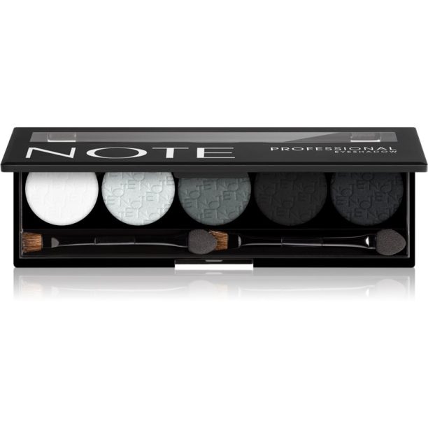 Note Cosmetique Professional Eye Shadow палитра сенки за очи #105 10 гр.