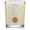 Parks London Home Cedarwood & Orange Spice ароматна свещ 180 гр.