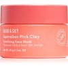 Sand & Sky Australian Pink Clay Porefining Face Mask детоксикираща маска за разширени пори 30 гр.