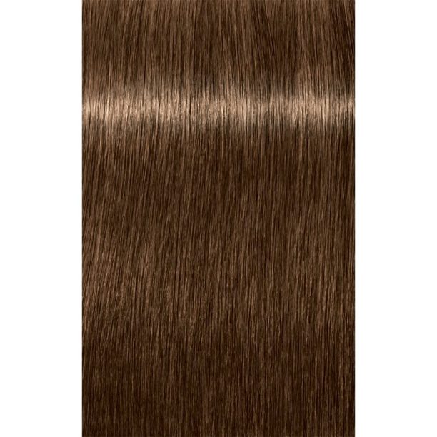 Schwarzkopf Professional IGORA Color 10 10-минутна перманентна боя за коса 6-0 Dark Blonde Natural 60 мл. купи на топ цена