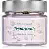 Tropicandle Plum