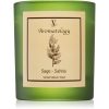 Vila Hermanos Aromatology Sage ароматна свещ 200 гр.