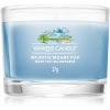 Yankee Candle Majestic Mount Fuji вотивна свещ glass 37 гр.