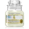 Yankee Candle Snow Globe Wonderland ароматна свещ 104 гр.