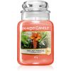 Yankee Candle The Last Paradise ароматна свещ 623 гр.