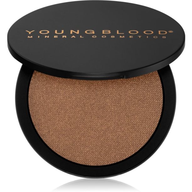 Youngblood Light Reflecting Highlighter озарител Fiesta (Rich Bronze with Gold Shift) 8 гр.