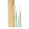 ester & erik cone candles eucalyptus (no. 66) свещ 2x25 см