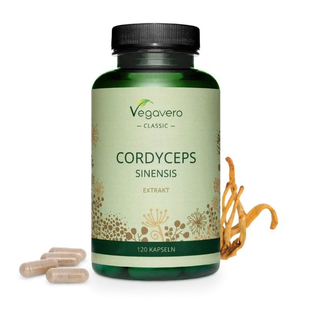 Cordyceps Sinensis Extrakt / Кордицепс екстракт