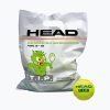 HEAD Tip Green 72 детски топки за тенис зелени 578280