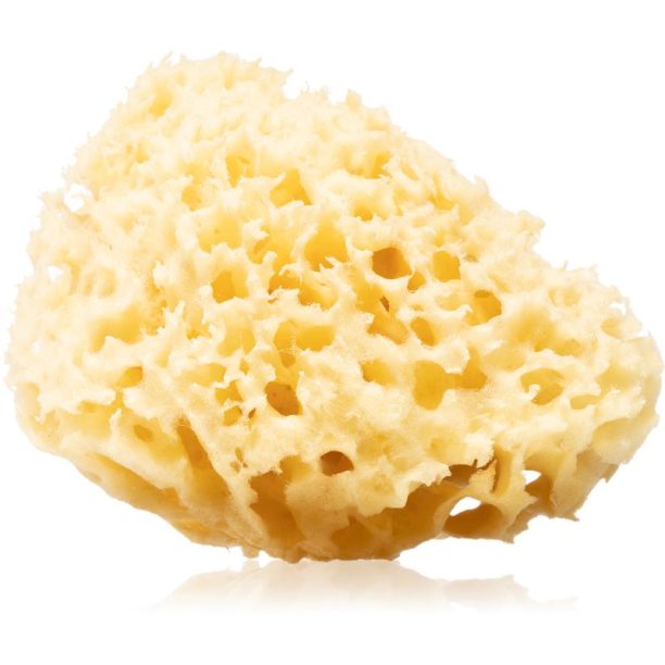 Huygens Clear Natural Mediterranean Sea Sponge натурална морска гъба за баня за тяло и лице 1 бр.