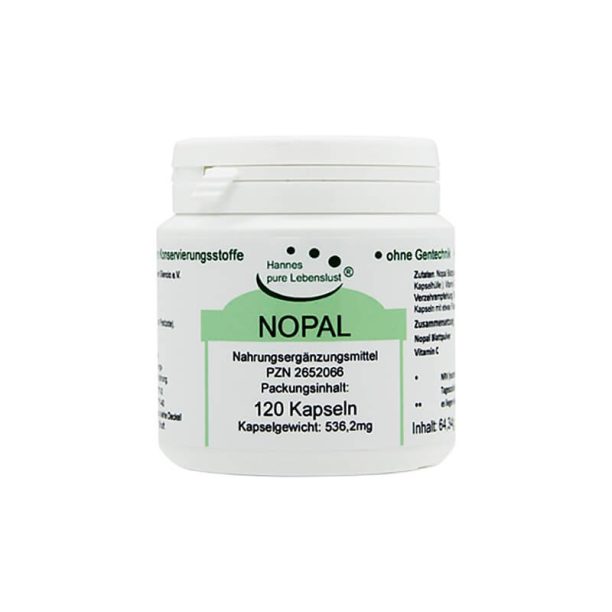 Nopal / Нопал кактус