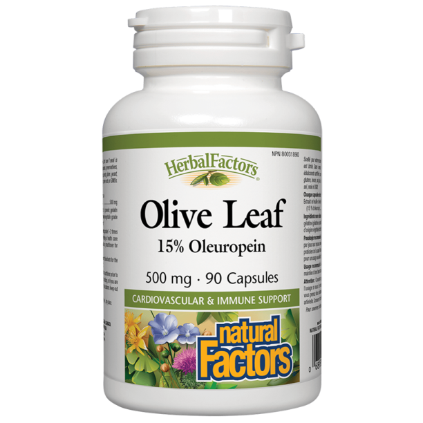 Olive Leaf / Маслина (лист) 500 mg х 90 капсули Natural Factors на ниска цена