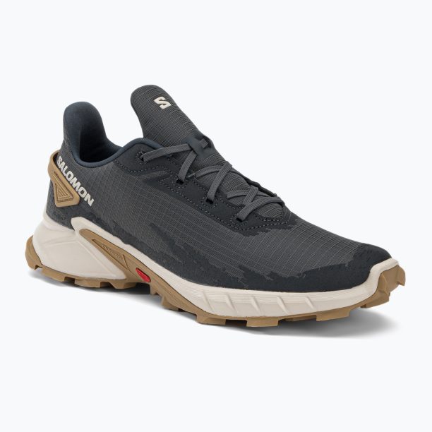 Salomon Alphacross 4 сиви мъжки обувки за пътеки L41724100