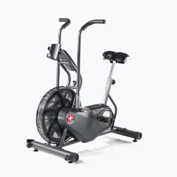 Schwinn Airdyne Ad6I 100324