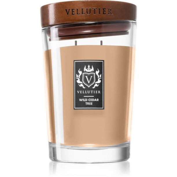 Vellutier Wild Cedar Tree ароматна свещ 515 гр.