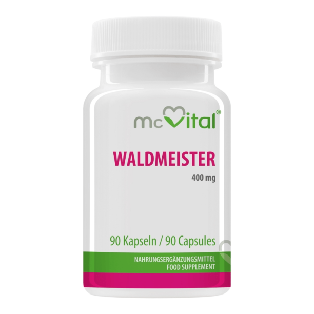 Waldmeister / Лазаркиня