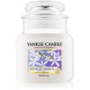 Yankee Candle Midnight Jasmine ароматна свещ 411 гр.