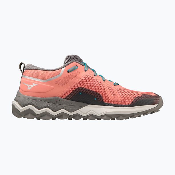 Дамски обувки за бягане Mizuno Wave Ibuki 4 GTX lantana/quiet shade/buebird