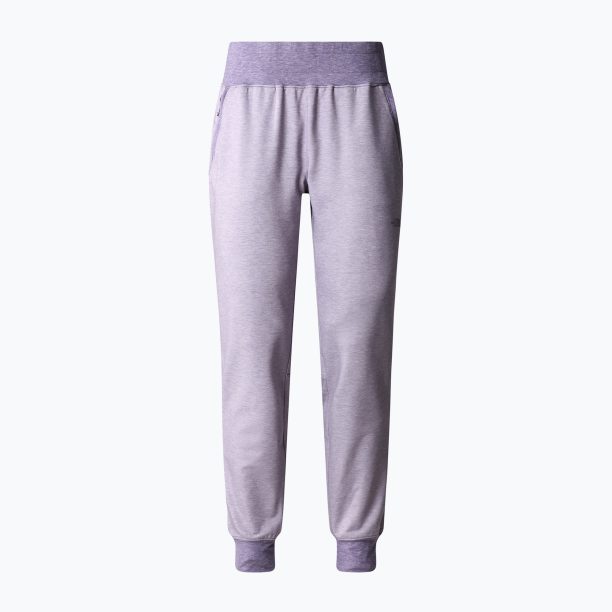 Дамски панталони за трекинг The North Face Juniper Basin Jogger purple NF0A7WSQN581