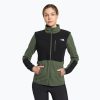 Дамски поларен суитшърт The North Face Diablo Midlayer black-green NF0A5IHUWTQ1