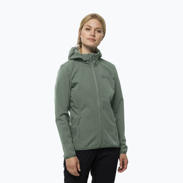 Дамско софтшел яке Jack Wolfskin Bornberg Hoody green 1307691