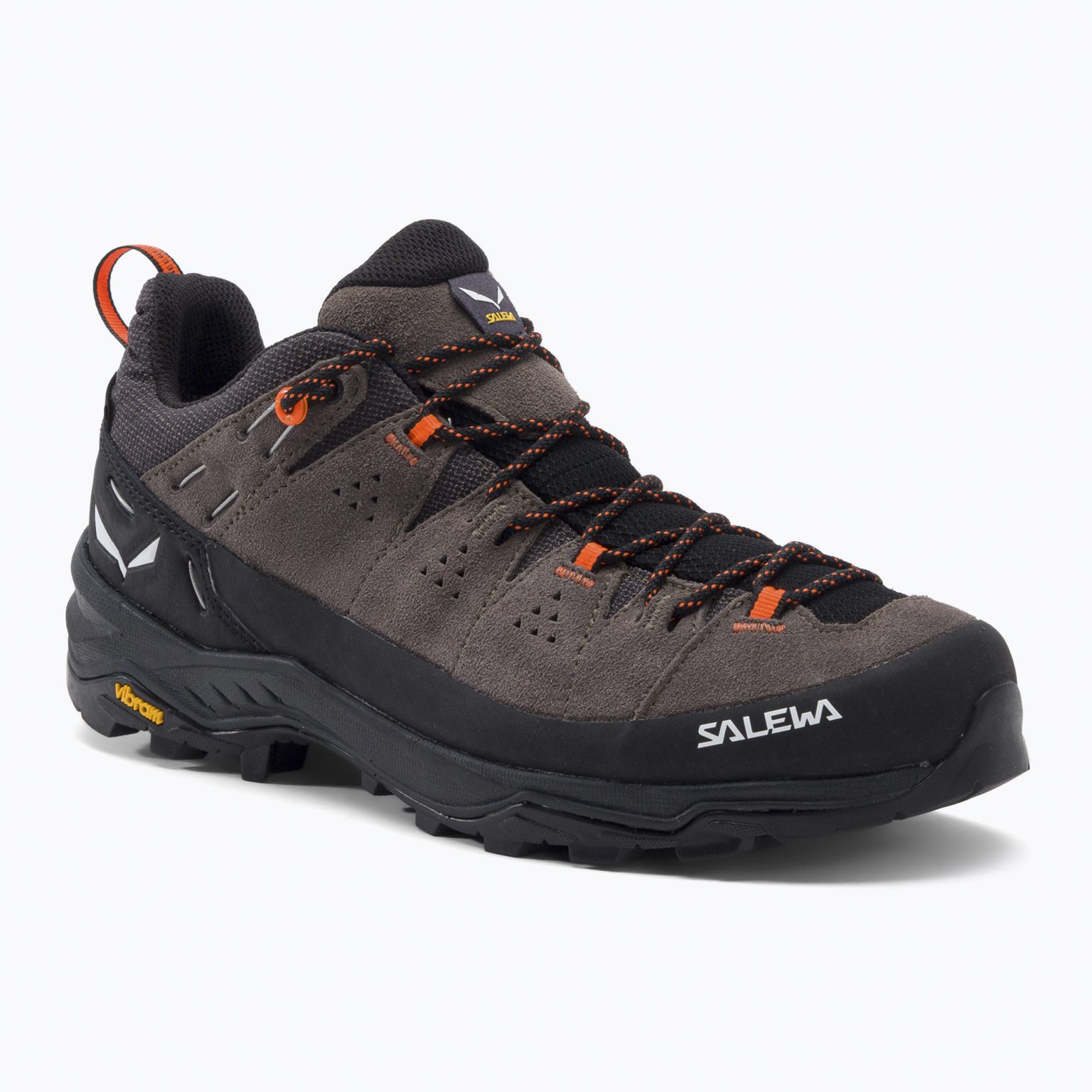 Мъжки ботуши за трекинг Salewa Alp Trainer 2 GTX brown 00-0000061400