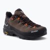 Мъжки ботуши за трекинг Salewa Alp Trainer 2 brown 00-0000061402