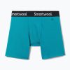 Мъжки термални боксерки Smartwool Brief Boxed deep lake