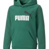 Худи Essentials+ с джоб кенгуру Puma