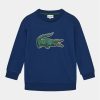 Суитшърт Lacoste за Момчета