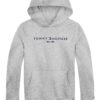 Худи с органичен памук и лого Tommy Hilfiger