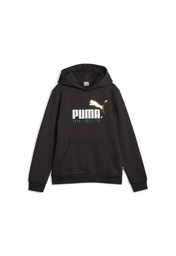 Худи No.1 Celebration с лого Puma