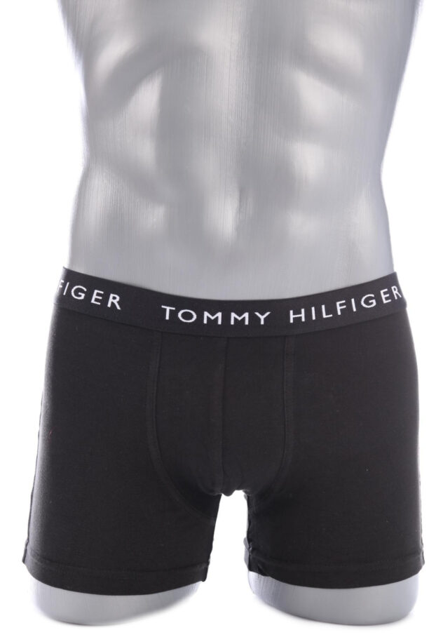 Боксери/Слипове TOMMY HILFIGER