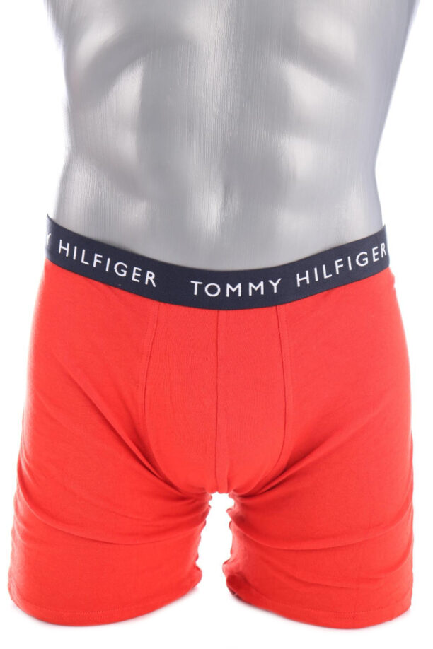 Боксери/Слипове TOMMY HILFIGER